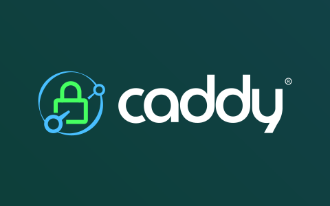Caddy新一代轻量web服务器 搭建教学 自动HTTPS 反向代理建站