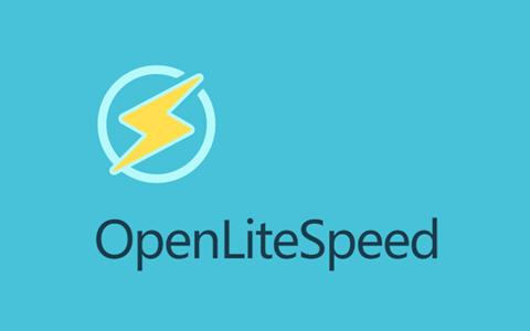 OpenLiteSpeed 国外一款强大的建站面板