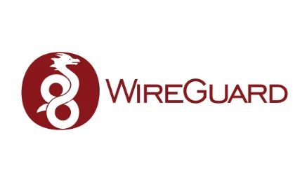 WireGuard 异地隧道组网实战指南：高效、安全的远程网络互通方案