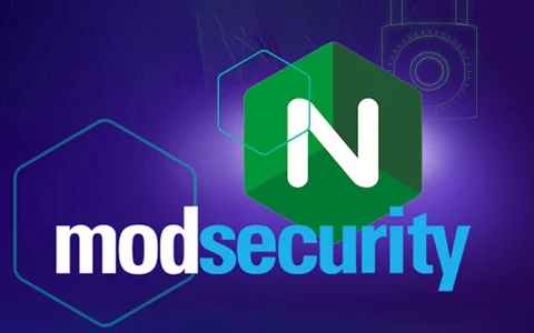 给你的反向代理穿上“防弹衣”：基于科技lion脚本快速部署 OWASP ModSecurity WAF 教程