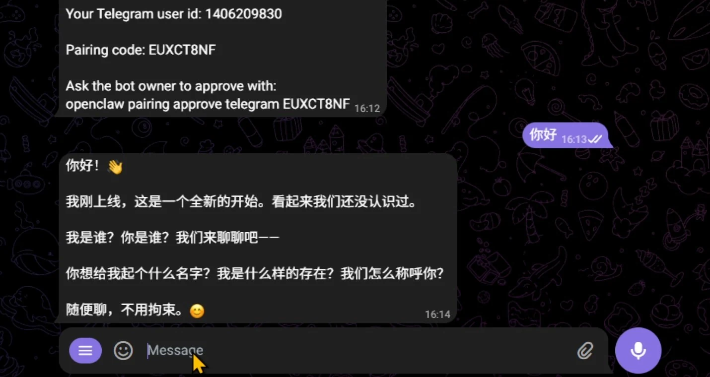 接入 Telegram,做成真正可聊天的 AI 助手